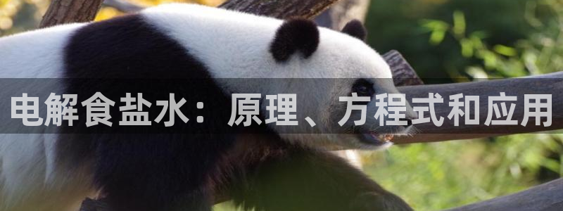 威九国际66m66成长模式免费