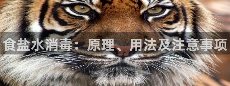 威九国际m78