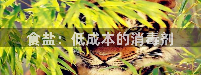 威九国际风情万种