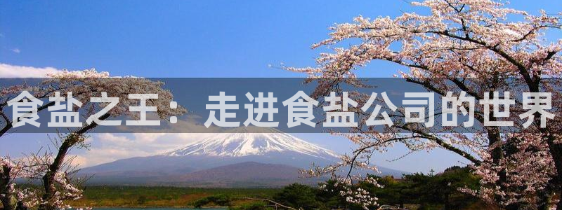 威九国际女