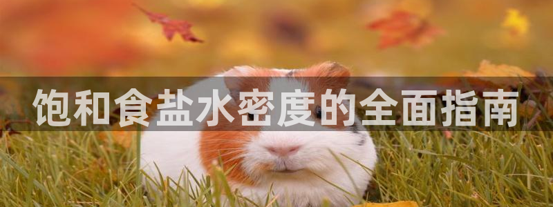 威九国际游戏网站