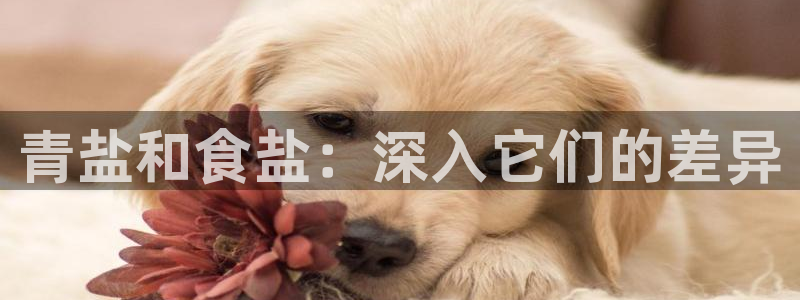 威九国际小剧场