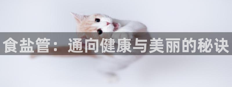 威九国际替好友去