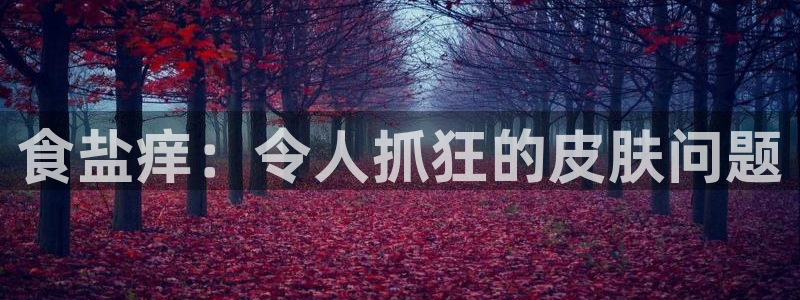 威九国际女主角