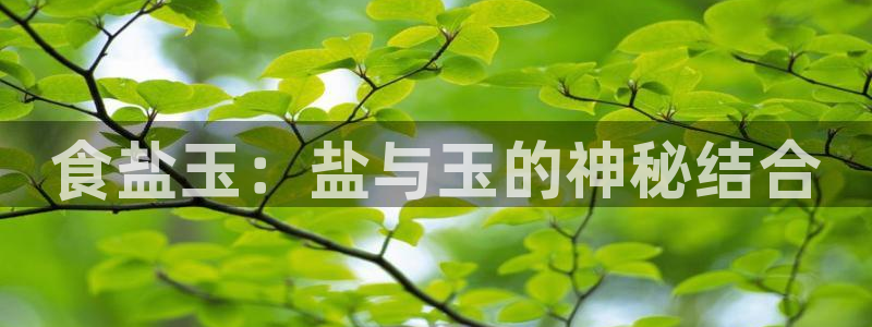 威九国际H