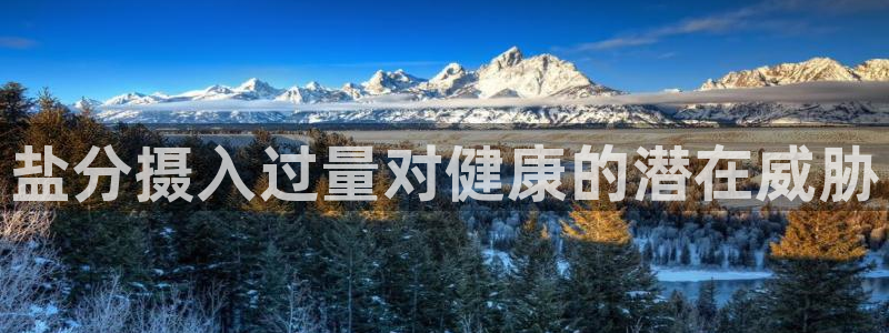 威九国际图片