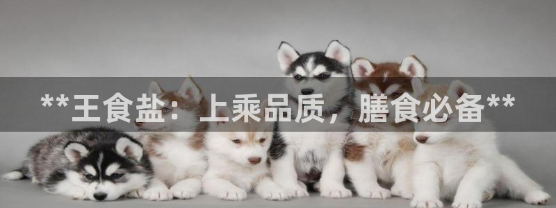 威九国际可以提现吗现在