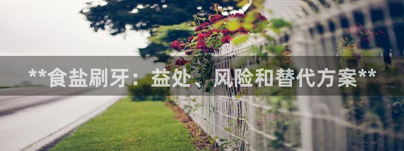 保定威九网络科技有限公司怎么样