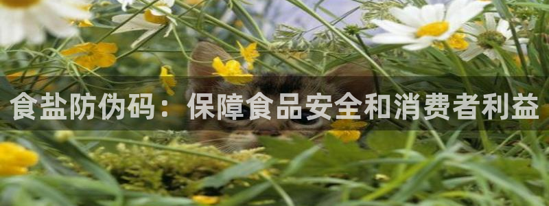 威九国际78m域名