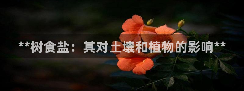 威九国际游戏网站