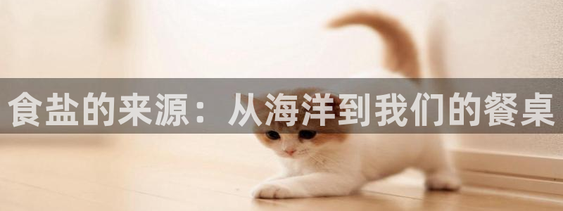 78mapp威九国际网