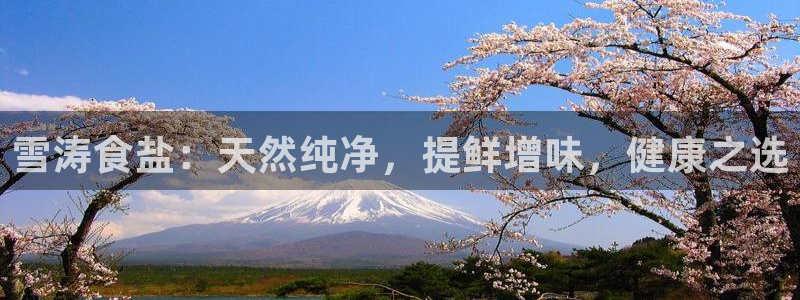 威九国际女艺人