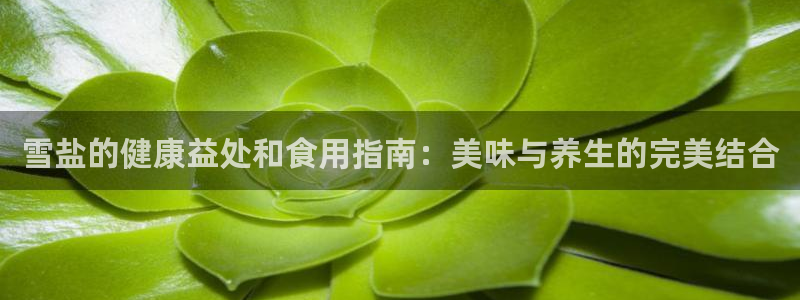 威九国际APP那个地方