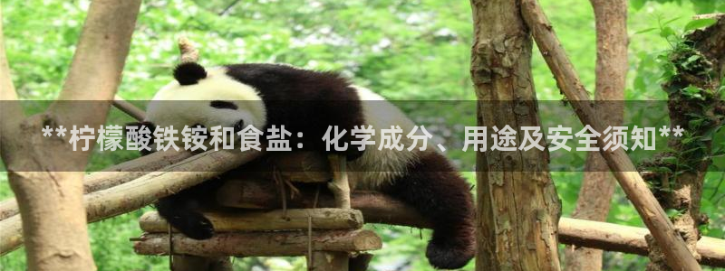 威九国际成长模式
