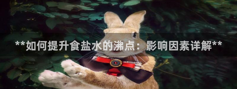 威九国际78mb官网