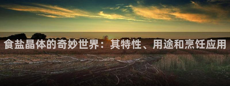 威九国际在哪里