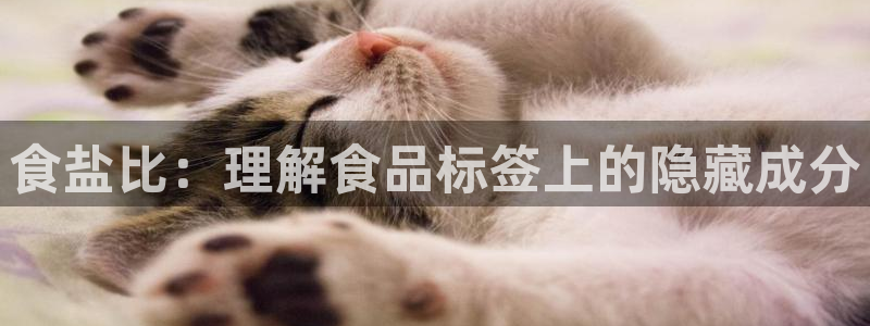 威九国际网站入口官网首页下载