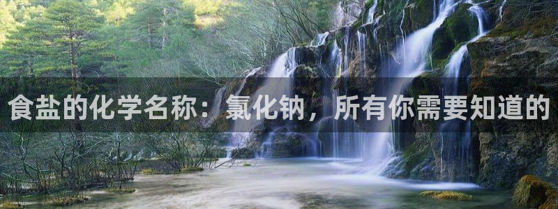 威九国际集团66m一6