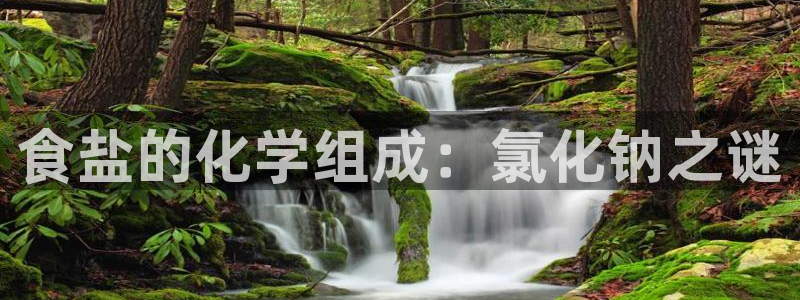 威九国际w98