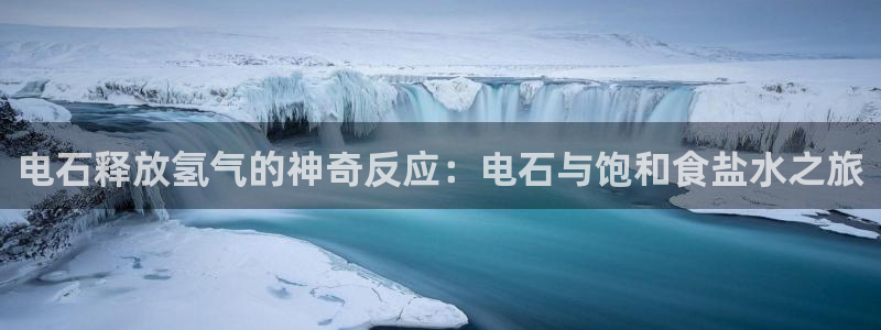 保定威九网络科技有限公司怎么样