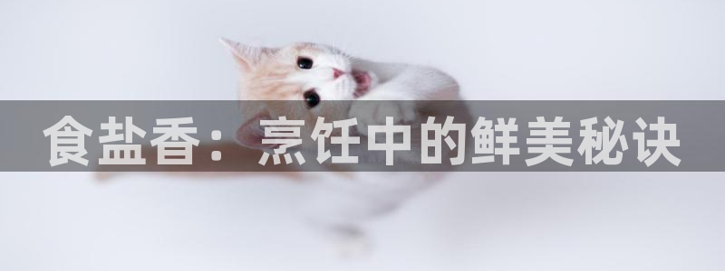 威九国际网页看视频弹窗的广告拦截插件