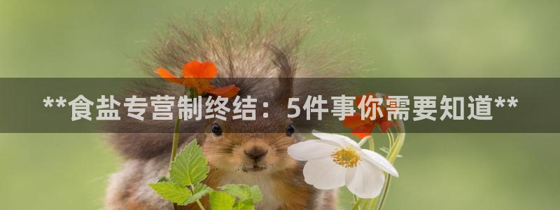 威九国际可以退钱吗怎么退