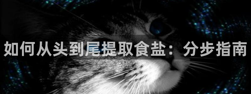 威九国际第一页