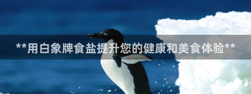 威九国际动漫