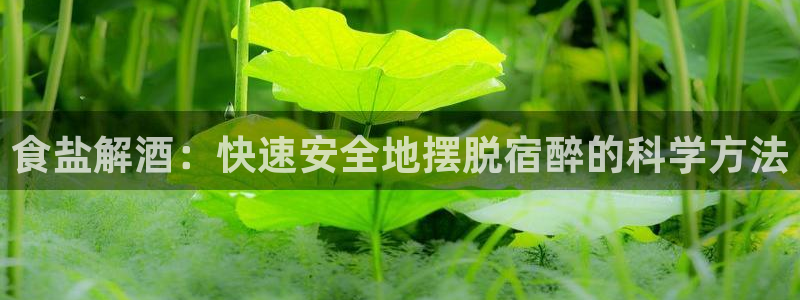 威九国际app无法登陆怎么回事