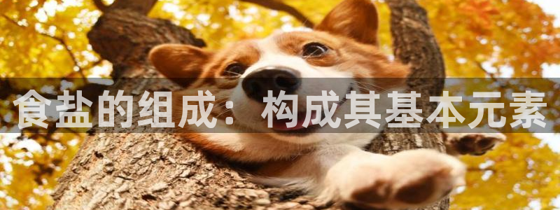 78mapp威九国际媒体