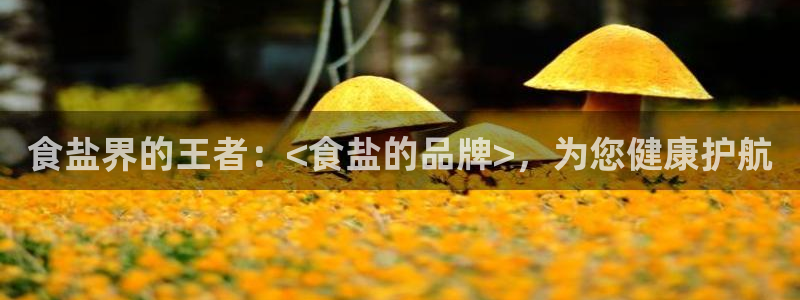 威九国际娜娜