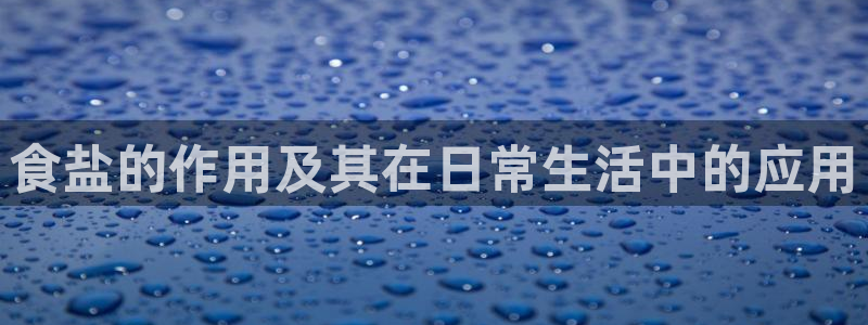 威九国际ppt免费下载网址