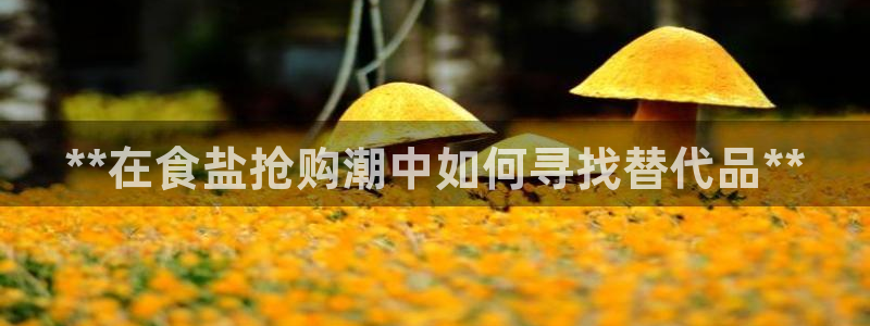 威九国际ppt免费下载