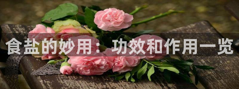 威九国际网站传媒招聘