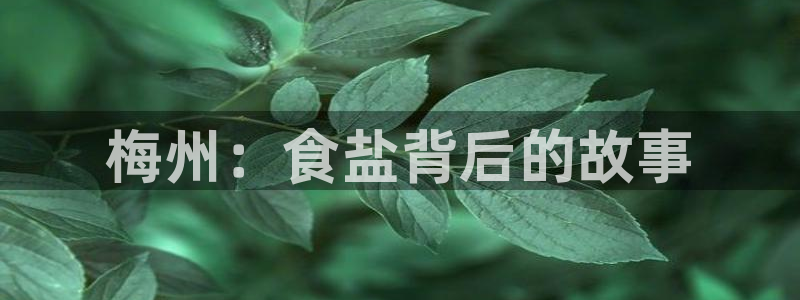 威九国际78ma