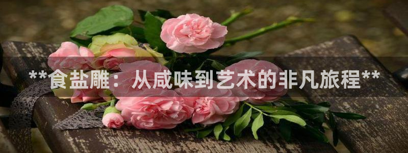 威九国际vA9618