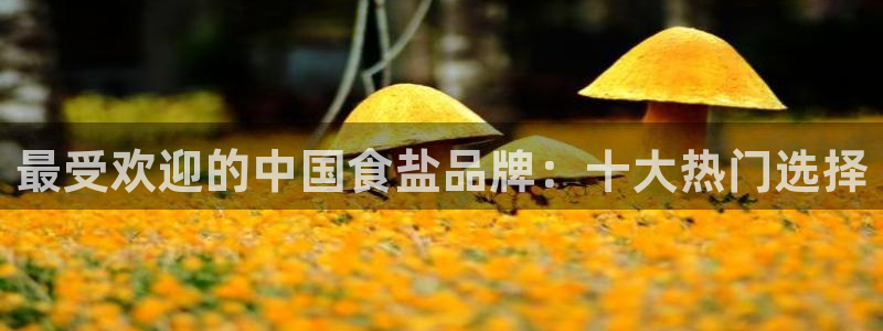 威九国际com