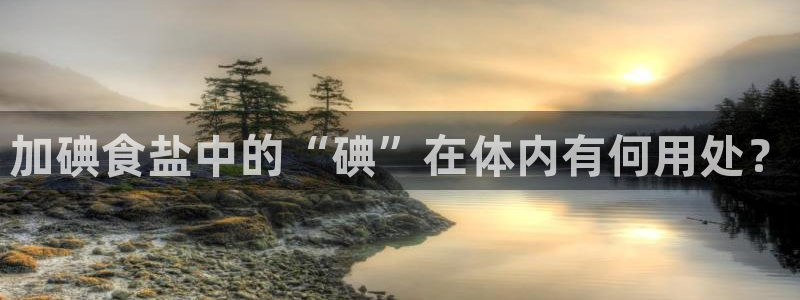 威九国际官方入口官网