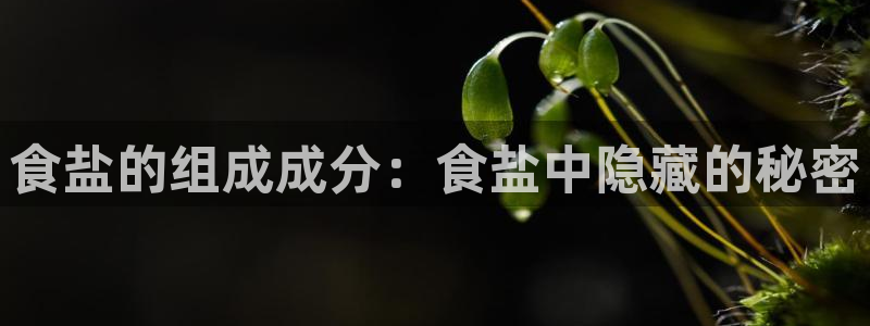 威九国际网站进入产品分类