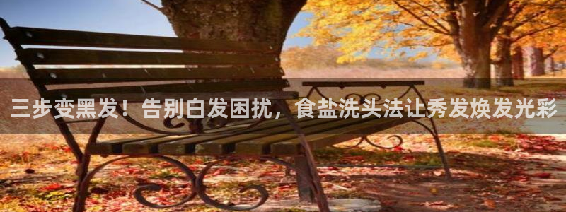 威九国际的金融服务有哪些