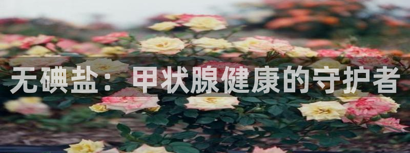 威九国际体育