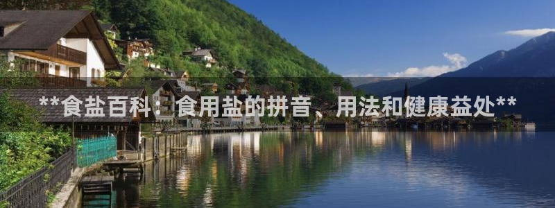 威九国际H