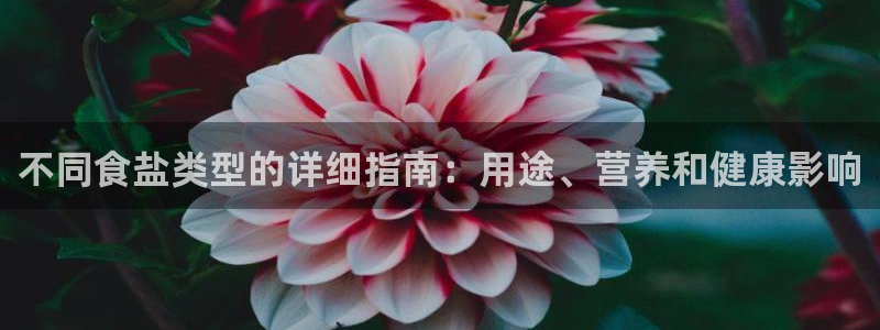 威九国际66m-66