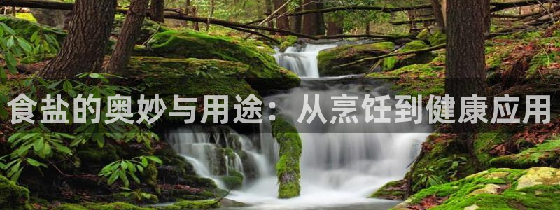 威九国际精