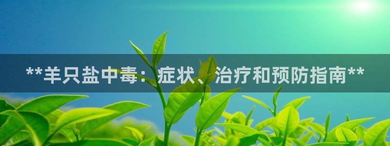 威九国际官网版