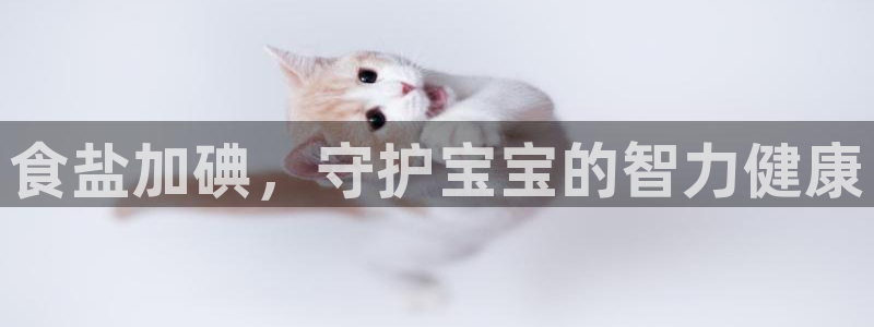 威九国际客服电话