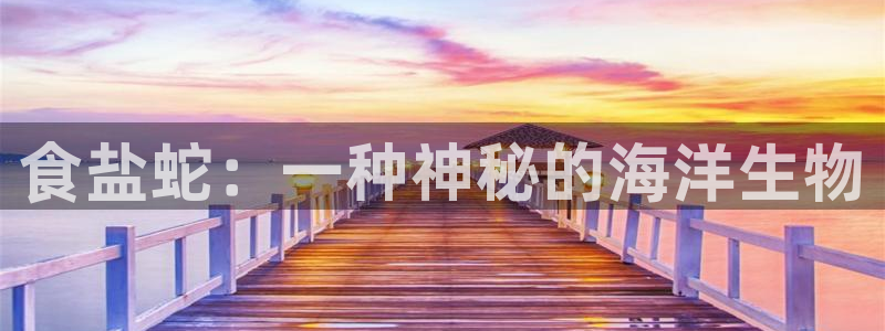 威九国际app客服电话号码