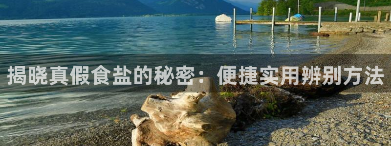 威九国际电子游戏