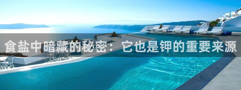 保定威九网络科技有限公司招聘