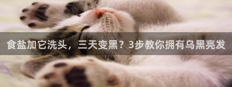 威九国际取款